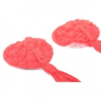 Nipple Tassels Red Lace